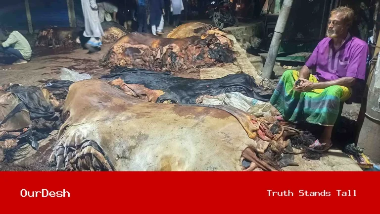 নবীনগরে মৌসুমী চামড়া ব্যবসায়ীরা বিপাকে
