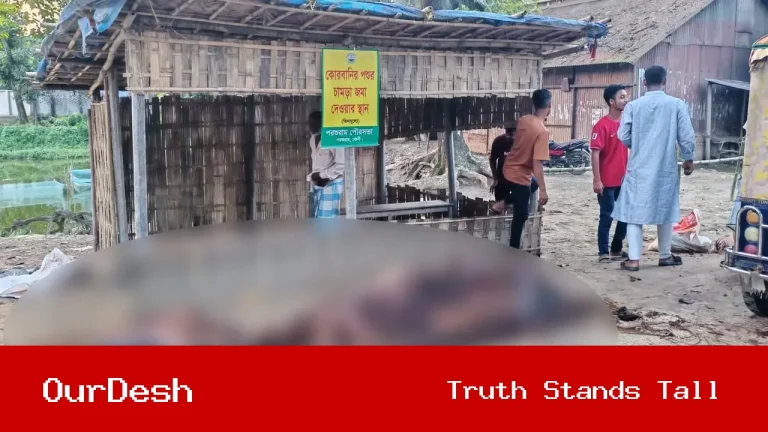 কোরবানির চামড়া ‘পানির দরে’ বিক্রি, হতাশ ব্যবসায়ীরা