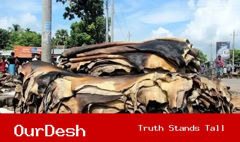 দাম ও ক্রেতা নেই, সংরক্ষণ খরচ নিয়ে দুশ্চিন্তায় মাদ্রাসা ও এতিমখানা কর্তৃপক্ষ
