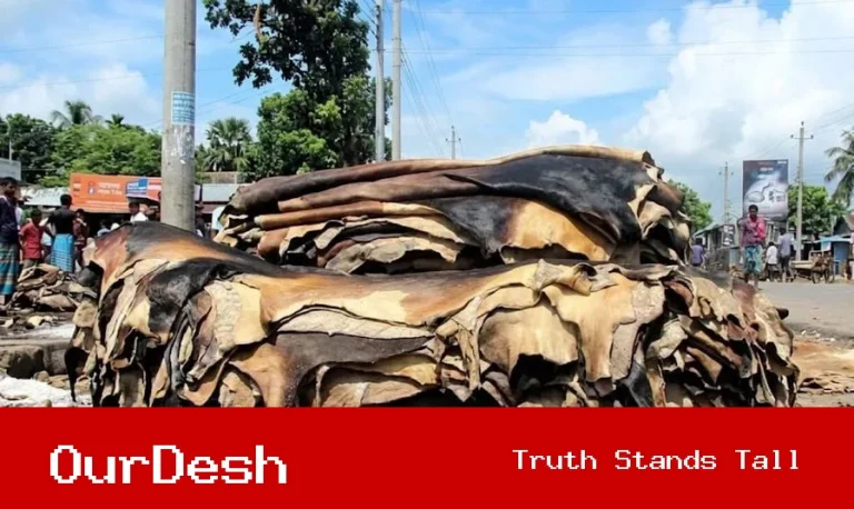 ন্যায্যমূল্যের অভাবে নবীনগরে রাস্তার পাশে পড়ে আছে অবিক্রীত চামড়া, ব্যবসায়ীদের দীর্ঘশ্বাস