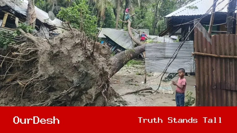 কালবৈশাখীতে বিপর্যস্ত বিদ্যুৎ লাইন: শাহরাস্তিতে মাঠকর্মীদের ছুটি বাতিল