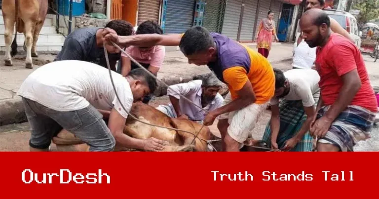 ঈদের দ্বিতীয় দিনেও অব্যাহত পশু কোরবানি