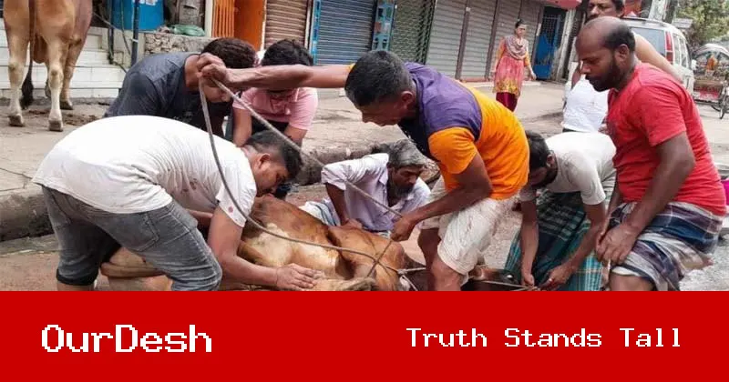 ঈদের দ্বিতীয় দিনেও অব্যাহত পশু কোরবানি