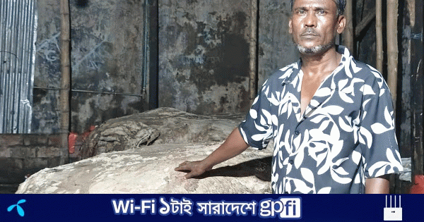 বিশ্বনাথে কোরবানির চামড়া নিয়ে ব্যবসায়ীদের গভীর উদ্বেগ