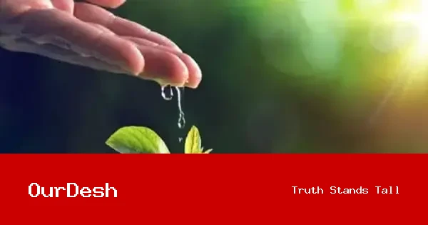 বিশ্ব পরিবেশ দিবস আজ: প্রকৃতি থেকে প্রেরণা, জলবায়ুর জন্য