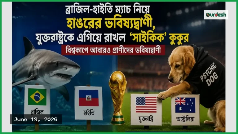 ব্রাজিল-যুক্তরাষ্ট্র ম্যাচে ভবিষ্যদ্বাণী করছে হাঙর ও কুকুর