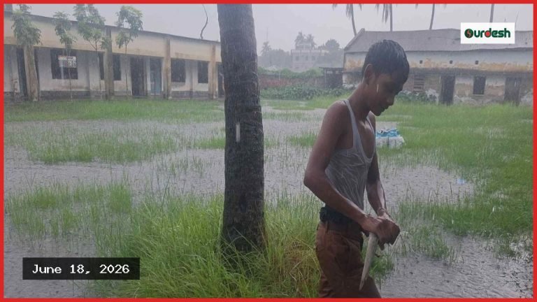 লালপুর বিদ্যালয়ে জলাবদ্ধতা: ভোগান্তিতে ১৫৮ বছরের ঐতিহ্যবাহী প্রতিষ্ঠান