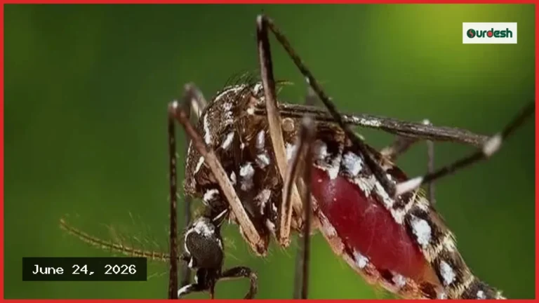 দেশে ডেঙ্গুতে নতুন করে আরও দুজনের মৃত্যু