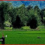 নাইক্ষ্যংছড়ির ঘুমধুম সীমান্তে মাইন বিস্ফোরণে যুবক গুরুতর আহত