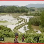 সীমান্তে বাড়ছে মাদক উদ্ধার, নেপথ্যে নতুন কৌশলী পাচারকারী চক্র