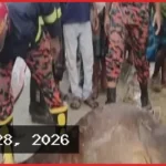 গাইবান্ধায় সেপটিক ট্যাংকে পড়ে যাওয়া গরু উদ্ধার করল ফায়ার সার্ভিস