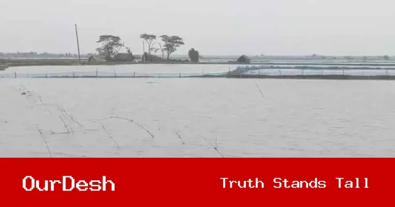বরিশালে আবহাওয়ার অস্বাভাবিক আচরণ: জনস্বাস্থ্য ও কৃষিতে বিরূপ প্রভাব অব্যাহত
