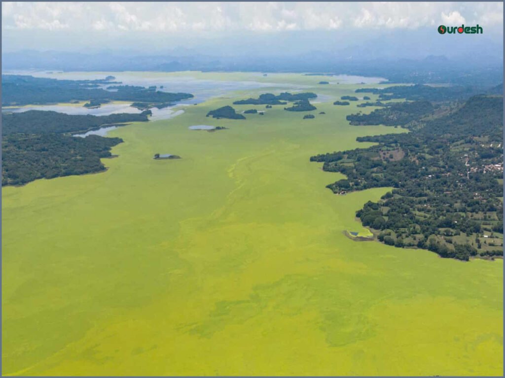 Lake Suchitlán Pollution Mystery Persists One Year Later