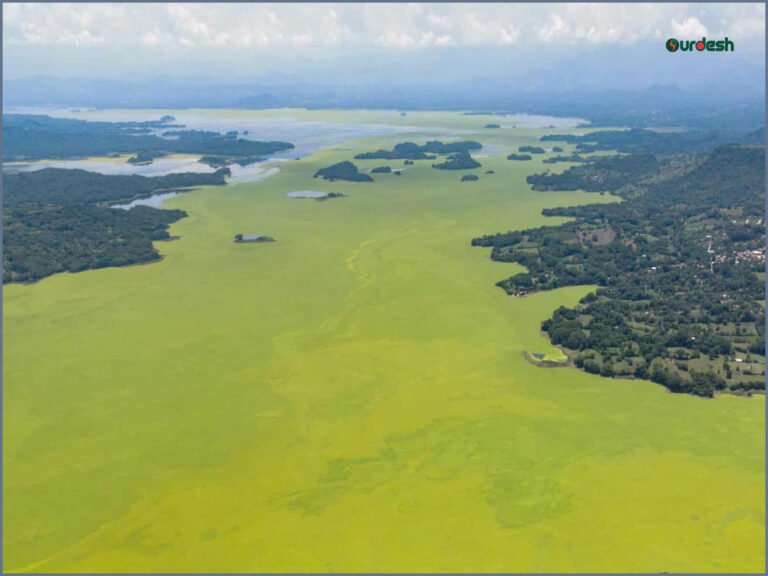 Lake Suchitlán Pollution Mystery Persists One Year Later