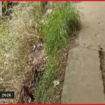 মতলবে দুই মাস ধরে গ্যাস লিকেজ, আতঙ্কে স্থানীয়রা