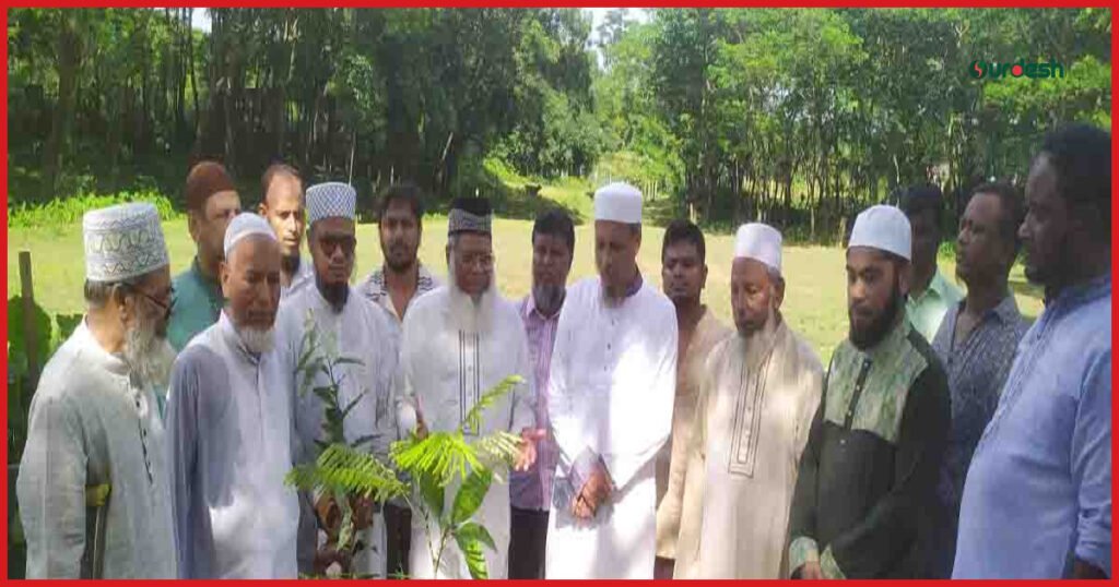 সবুজ বাংলাদেশ গড়তে বৃক্ষরোপণের আহ্বান মাওলানা হাবিবুর রহমানের