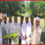 সবুজ বাংলাদেশ গড়তে বৃক্ষরোপণের আহ্বান মাওলানা হাবিবুর রহমানের