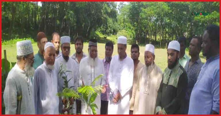 সবুজ বাংলাদেশ গড়তে বৃক্ষরোপণের আহ্বান মাওলানা হাবিবুর রহমানের