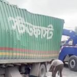 বগুড়ায় ট্রাক ও কাভার্ডভ্যানের মুখোমুখি সংঘর্ষে চালক নিহত