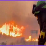 Europe's Wildfires Have Killed Hundreds in the Last Decade