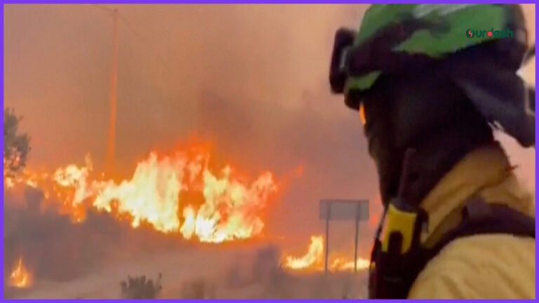 Europe’s Wildfires Have Killed Hundreds in the Last Decade