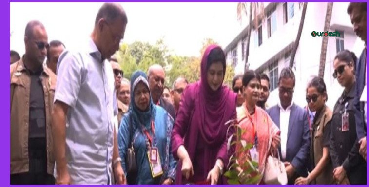 ঢাকা মেডিকেল কলেজে বৃক্ষরোপণ কর্মসূচির উদ্বোধন করলেন প্রধানমন্ত্রী