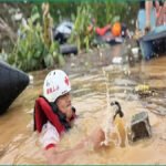 চীনের বন্যায় ৯০০ বিষধর সাপ মুক্ত, আতঙ্কে বাসিন্দারা