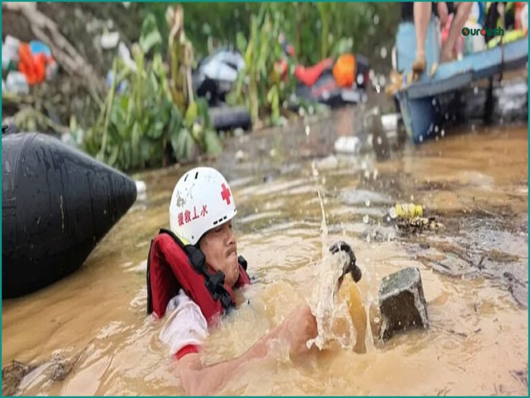 চীনের বন্যায় ৯০০ বিষধর সাপ মুক্ত, আতঙ্কে বাসিন্দারা