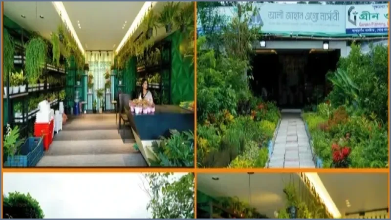 জাতীয় বৃক্ষমেলায় নজর কাড়ছে আলী-জাহান অ্যাগ্রো নার্সারির বৈচিত্র্য