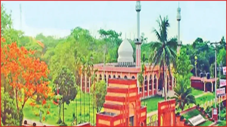জাবি শিক্ষার্থীদের তথ্য নিয়ে অভিনব প্রতারণা, ফাঁদে পড়ছেন অভিভাবকেরা