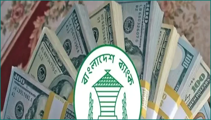 জুলাইয়ের ১৯ দিনে দেশে এলো ২৩ হাজার ৮৯৮ কোটি টাকার রেমিট্যান্স
