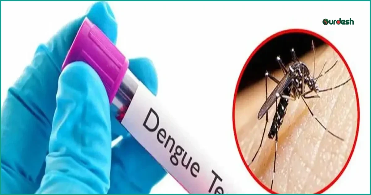 ডেঙ্গুতে আরও এক নারীর মৃত্যু, নতুন আক্রান্ত ৪৭৩ জন