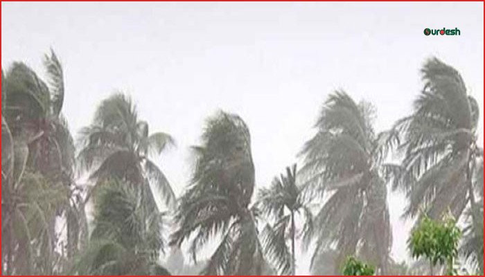 দেশের ৮ জেলায় দুপুরের মধ্যে ঝোড়ো হাওয়াসহ বৃষ্টির পূর্বাভাস