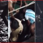 বঙ্গোপসাগরে ট্রলারডুবি, পাঁচ জেলের মরদেহ উদ্ধার