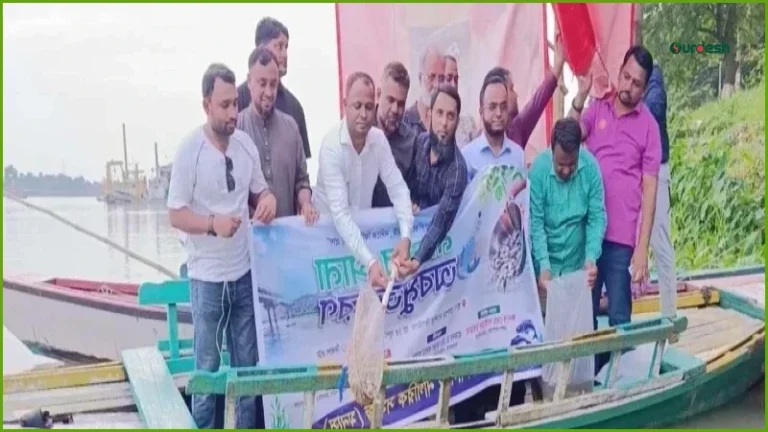 ময়মনসিংহের ব্রহ্মপুত্র নদে লক্ষাধিক মাছের পোনা অবমুক্ত