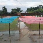 মাটিরাঙ্গায় আমন বীজতলায় বিপর্যয়, মশারির ঢাকনাতেও রক্ষা পেল না চারা