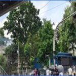 শিক্ষার্থীদের পড়ার টেবিলে ফেরার আহ্বান জানালেন শিক্ষামন্ত্রী
