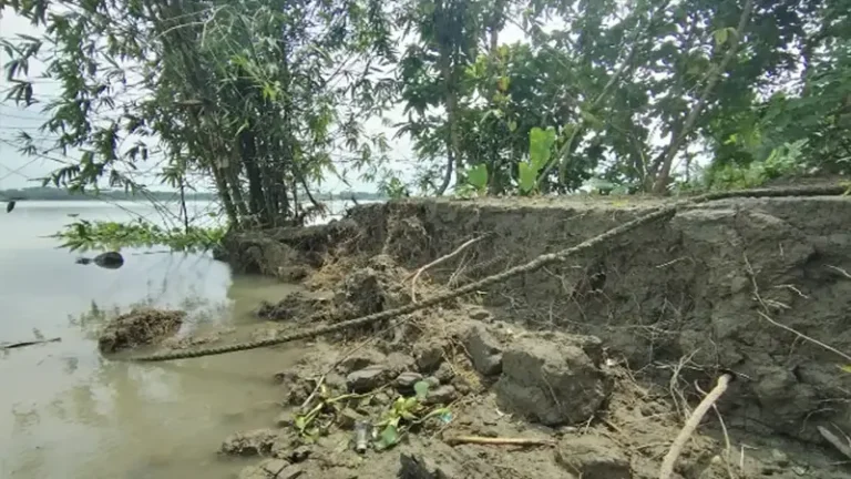 সুগন্ধা নদীর ভাঙনে ভিটেমাটি ও স্বজনদের কবর হারিয়ে দিশেহারা ঝালকাঠির বাসিন্দারা