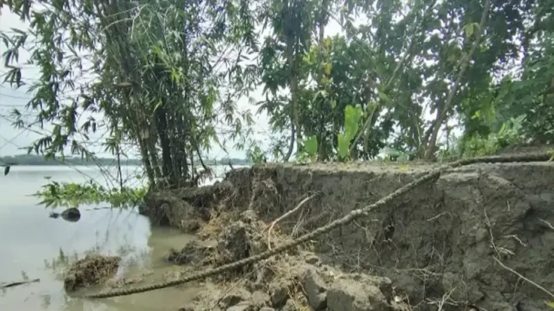 সুগন্ধা নদীর ভাঙনে ভিটেমাটি ও স্বজনদের কবর হারিয়ে দিশেহারা ঝালকাঠির বাসিন্দারা