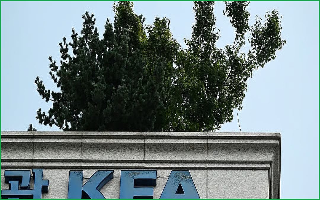 South Korea Football Association Apologizes for Historical Referee Scandal