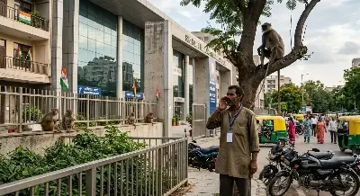 বিশ্ব ব্যাডমিন্টন চ্যাম্পিয়নশিপ: বানরের উপদ্রব রুখতে মাঠে ‘মাঙ্কি হুইস্পারার