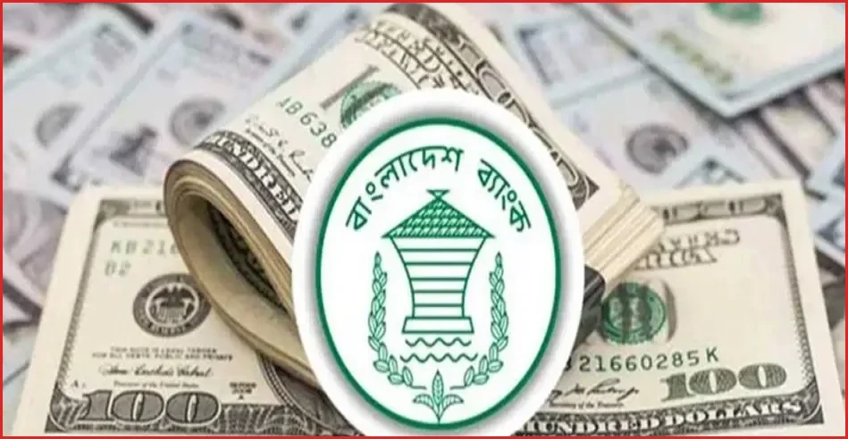 আগস্টের প্রথম ৫ দিনে দেশে এলো ৬০২ মিলিয়ন ডলার রেমিট্যান্স