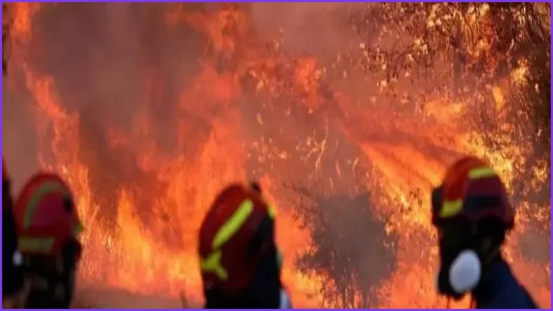 ইউরোপে ভয়াবহ দাবানল, বীমা খাতের ওপর বাড়ছে আর্থিক চাপ