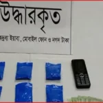 গোয়ালন্দে ১ হাজার ৩০০ পিস ইয়াবাসহ নারী কারবারি গ্রেপ্তার
