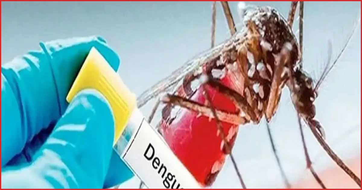 ডেঙ্গুতে আরও ২ জনের মৃত্যু, হাসপাতালে ভর্তি ৪২৩ জন