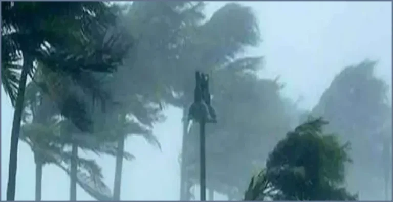 দেশের ৬ অঞ্চলে ঝোড়ো হাওয়াসহ বৃষ্টির পূর্বাভাস, নদীবন্দরে সতর্কতা