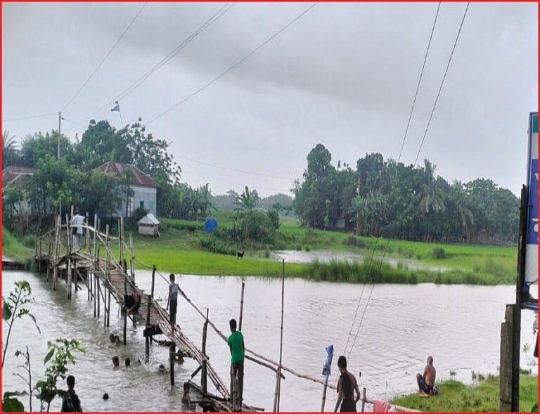 ফরিদপুরের সদরপুরে নড়বড়ে সাঁকোয় ঝুঁকি নিয়ে পারাপার, স্থায়ী সেতুর দাবি