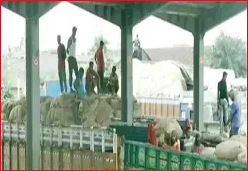 বেনাপোল দিয়ে দেশে ঢুকলো ৯ টন ভারতীয় কাঁচামরিচ, দাম কমার আশা