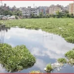 ময়লা ও কচুরিপানায় বুড়িগঙ্গার আদি চ্যানেল এখন বিপর্যস্ত