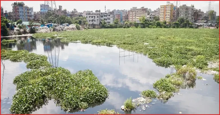 ময়লা ও কচুরিপানায় বুড়িগঙ্গার আদি চ্যানেল এখন বিপর্যস্ত